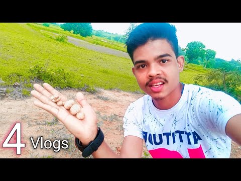 4 Vlogs..🙏 - YouTube