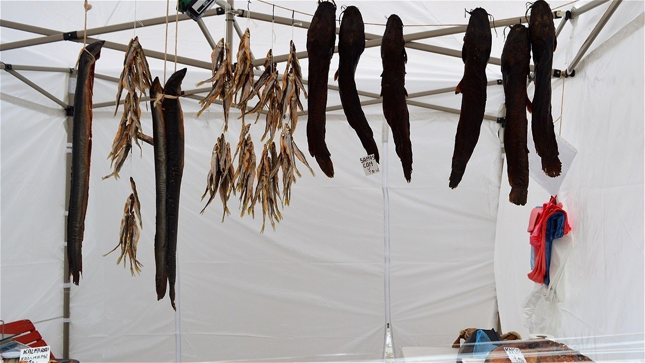 Savaitgalio vaizdai iš muzikos, skonių ir kvapų jūros Palangoje