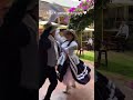 Feliz Aniversario Arequipa
