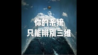 201305 你的系统只能辨别三维10510