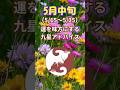 【5月中旬の運勢】運を味方にする九星アドバイス! #占い #今日から開運