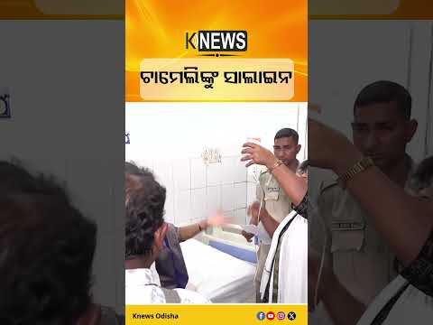 କ୍ୟାପିଟାଲ ହସ୍ପିଟାଲରେ ଭର୍ତ୍ତି ହେଲେ ଚାମେଲି ଓଝା #knewsodisha