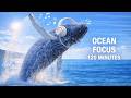 Ocean Ambient Lofi 🌊 Study Music for Concentration (2 Hours)