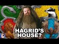 Which House Was Hagrid In? | Harry Potter Theory