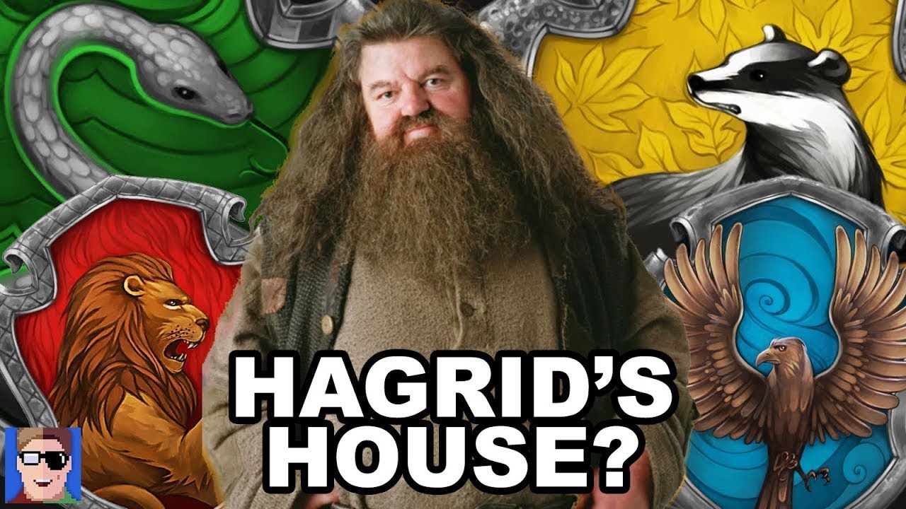Which House Was Hagrid In? | Harry Potter Theory - YouTube