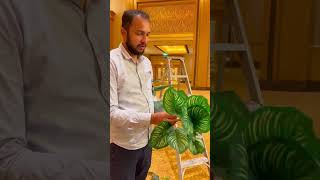 Discover The Beauty Of Jenny Flowers Plant Designs At Muhammad Bin Zayed University