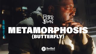 Peter $un - Metamorphosis (Butterfly) [Official Music Video] Wealth