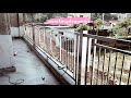 Steel railing #shorts #ytshorts #youtubeshorts #welding #steel #welding tools #education #ideas