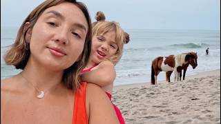 We Found Americas Island Of Wild Horses