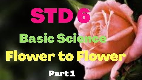 STD 6 Basic Science English medium class | Unit3 part 1 | schoolmedia | Victers channel |