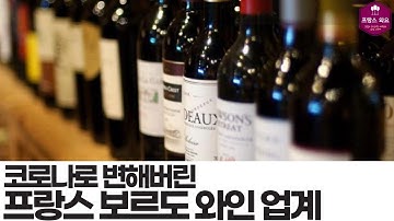 [와인뉴스]코로나가 보르도 와인에 미치는 영향?!!!