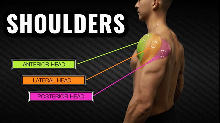 The Best Science-Based Shoulder Workout for Size and Symmetry - DayDayNews