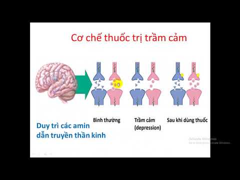 Video: Nước Như Một Loại Thuốc Chống Trầm Cảm Tự Nhiên