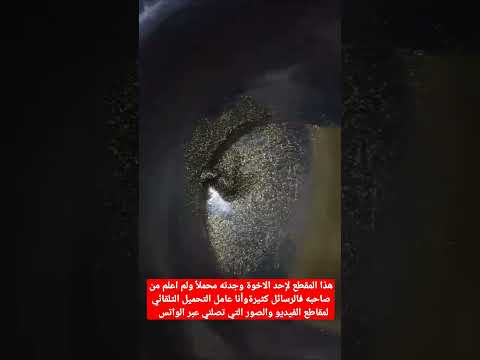 الذهب الكاذب الميكا  تبر الذهب  اليمن