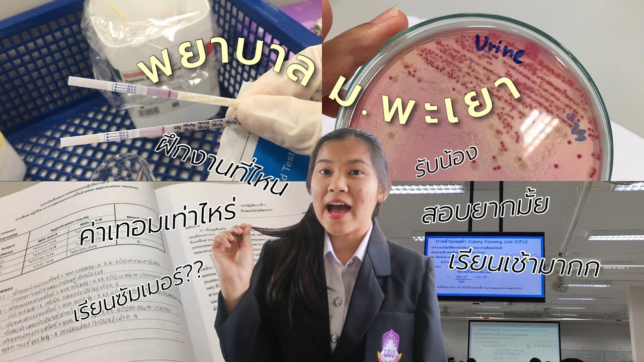 พยาบาลพะเยา : ค่าเทอมเท่าไหร่,เรียนยากมั้ย,ฝึกงานที่ไหน🗂