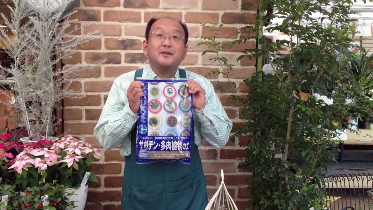 サボテン 多肉植物の土 商品紹介 Youtube