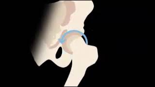 ball and socket joint animation