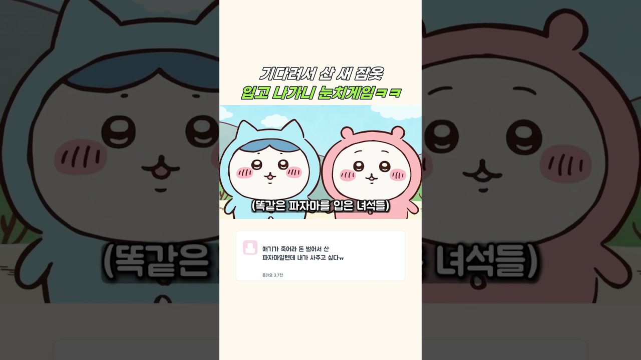같은 옷 발견하자 급조용해진 녀석들 ㅋㅋ #먼작귀