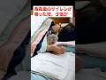 救急車のサイレンを聞いた子猫の行動