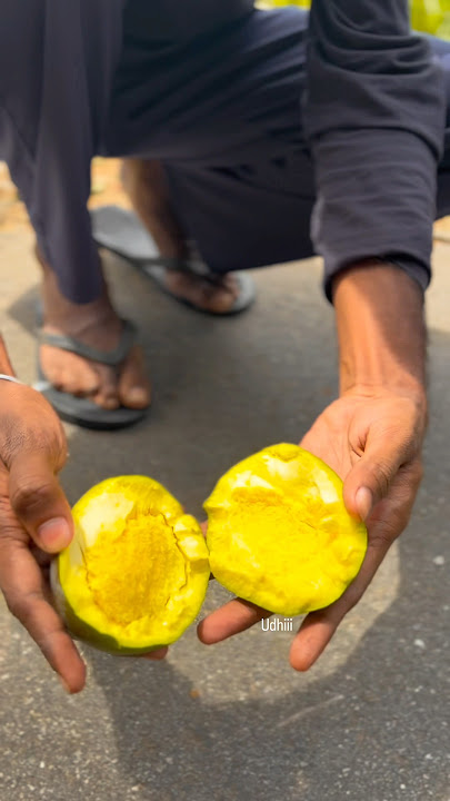 හොරාට කඩපු අඹ තමා රහම🤤 #viral #funny #trending #athal #comedy #travel #film #action #nature #india