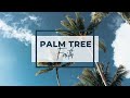 SSA Live | Palm Tree Faith