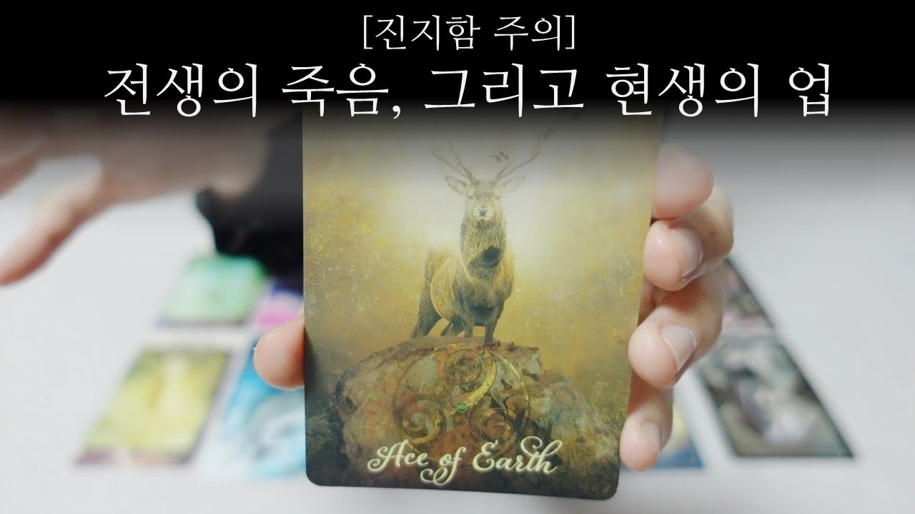 [타로] 전생의 죽음과 그대의 현생의 업