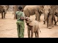 Saruni captures the magic of the remarkable Reteti Elephant Sanctuary.