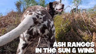 Ash Ranges In The Sun & Wind