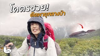 เดินป่าคนเดียวครั้งแรกแต่ติดพายุกลางป่า! | ญี่ปุ่น Japan Alps