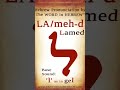 Hebrew Alphabet- Lamed, Mem, Noon ל,מ,נ #shorts #learnhebrew #hebrew