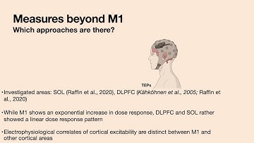 OHBM 2024 | Symposium | Anna-Lisa Schuler |  Intrinsic and Extrinsic Measures of Excitability: a s…