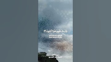 سورة الفيل #القرآن_الكريم #سورة_الفيل #سعد_الغامدي #quran #surahalfil