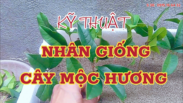 Các cây nào được nhân giống bằng cách chiết cành