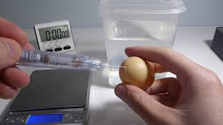 Plastic Ping Bong Ball and Egg Weight Measurements: Ball 1.52 g. Egg 3.76 g.
