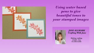 Stamping with water based pens for a pretty toned colour look  clean and simple cardmaking