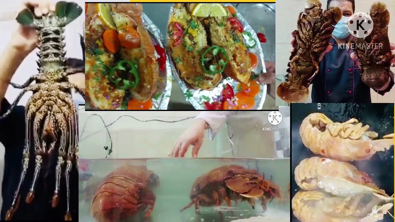 الاستاكوزا المشوية (سرطان البحر )المأكولات البحرية  أفضل طريقة للأستاكوزا بالذبده والليمون