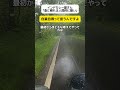 【自業自得】インドカレー屋さん「急に帰れは人間的に酷すぎる」 #shorts