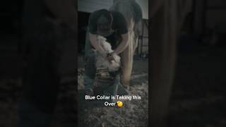 Why We Do It - The Dying Breed - What Farriers See