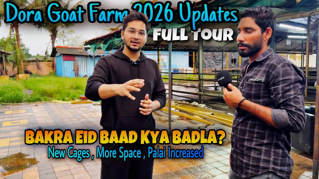 DORA Goat Farm ka Horaha Hai Complete MAKEOVER😍 Eid Season 2026 Ke Liye ...