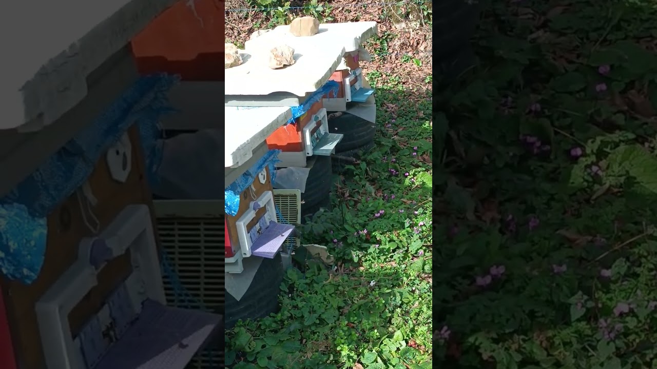 2026 Resmi sezonu Açtık😁👍🏻🤲