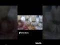 HOW TO MAKE PORK Money bag!!! Ghar par kyisa banaye to!!!