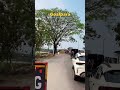 Goalpara Beauty Assam #travel #lifeisbutadream #love #goalpara #automobile #nature