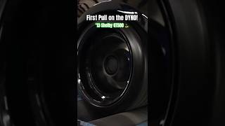 Shelby GT500 dyno pull! 🐍
