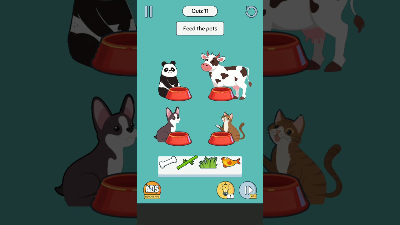 Brain up quiz 11,12. Brain up solutions / answers. Brain up gameplay 