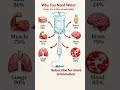 💧 Why Your Body Needs 3–4 Liters of Water Daily?#water #facts #viral #shorts#summer #youtubeshorts