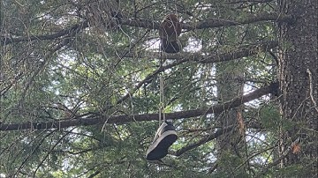 W̸̑̿̋̕h̵̢̲̞̎è̵̼r̸̛̺̣͝e̸͗̈̓-h̴́a̴͕̜͖̜͗̏v̶̖͇̋́̃̚è̵̫͊͛ ̷͔̼̆̊͘͝y̷̨̜͕͑̉̋͠o̵͙͐̕u ̶͑́̒͠b̷͗͜ē̸̦̚͝è̸n̶͛̀̿