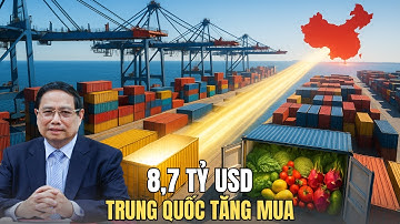 8,7 Tỷ USD Nông Sản Việt: Điều Gì Khiến Trung Quốc Tăng Mua Đột Biến?