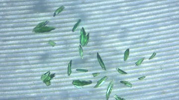 Extraordinary anisotropic thermal expansion in photosalient crystals