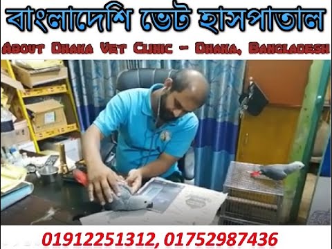 ভিডিও: Canimx: মেক্সিকো এবং তার বাইরেও প্রাণীদের জন্য প্রাণী উদ্ধার এবং স্বাস্থ্যসেবা সরবরাহকারী