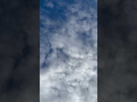 The Sky Above